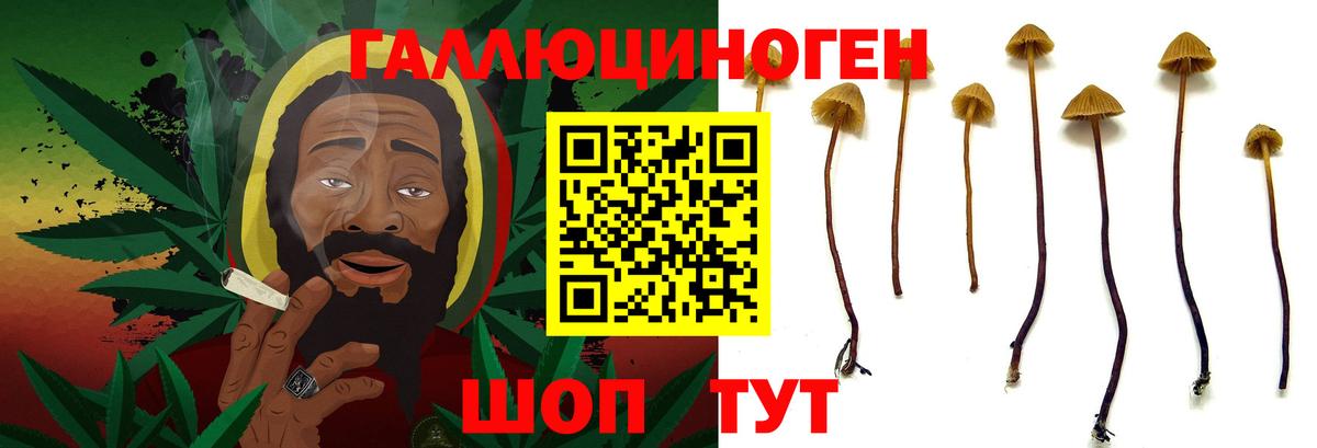 Рыбинск  Псилоцибиновые грибы прущие грибы  Вход с VPN 